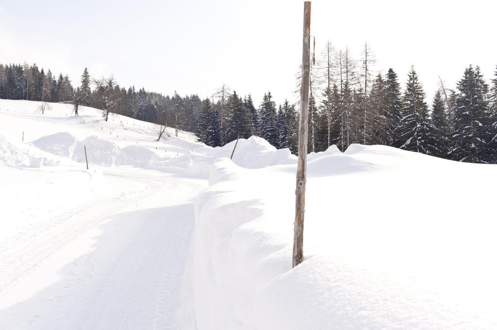 Hotel Alpenkrone Filzmoos Dış mekan fotoğraf